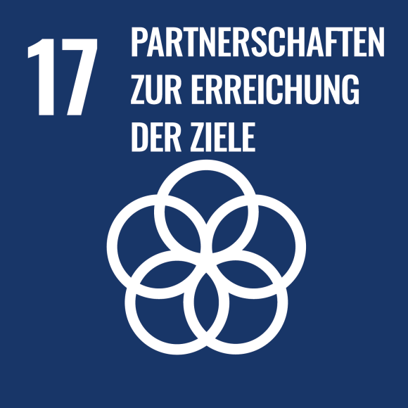 17. Partnerschaften zur Erreichung der Ziele