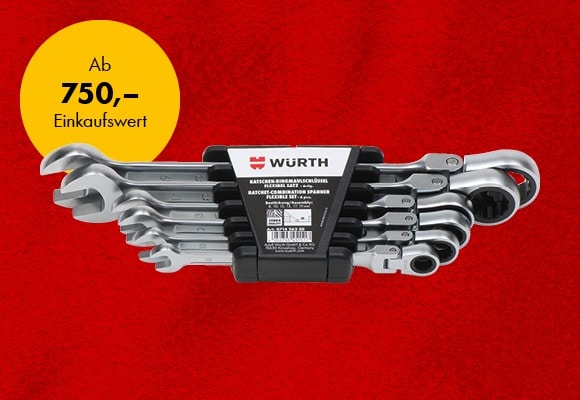 Ratschen-Ringmaulschlüssel-Satz