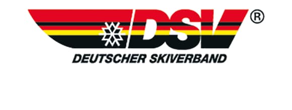 DSV Logo