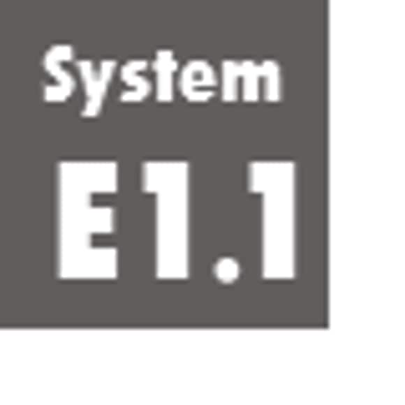 System E1.1