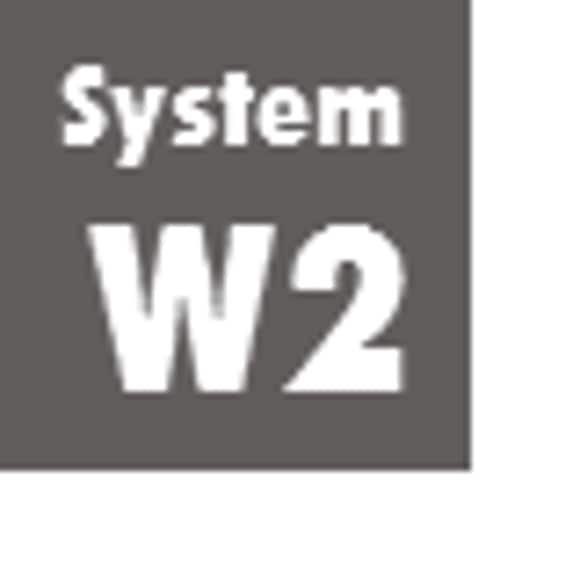 System W2