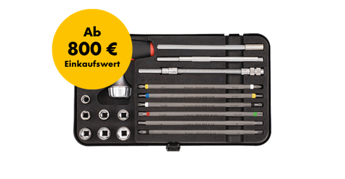 T-Griff Schraubendreher Sortiment